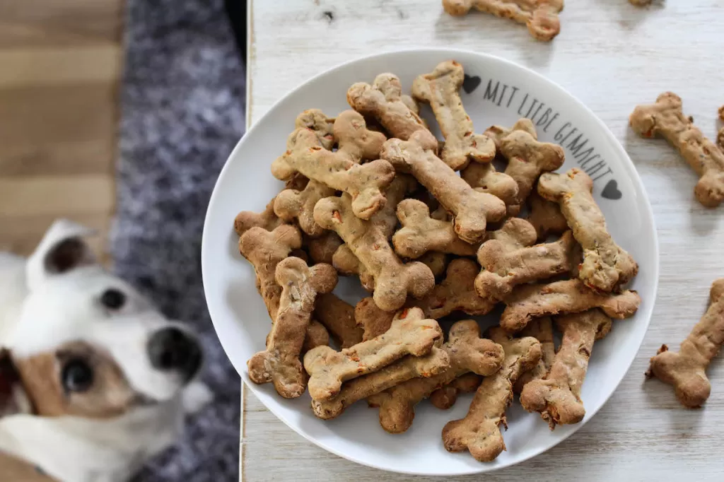 A Guide to Dog Snacks: Keep Your Pup Wagging with Every Bite!