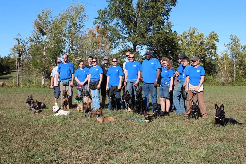 How to Choose the Best Dog Training School for Your Puppy